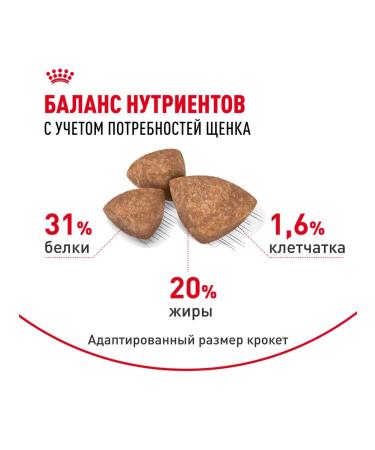 ROYAL CANIN Dry food for miniature breed puppies 500 g 2 pcs - Buy Online on GoSupps.com