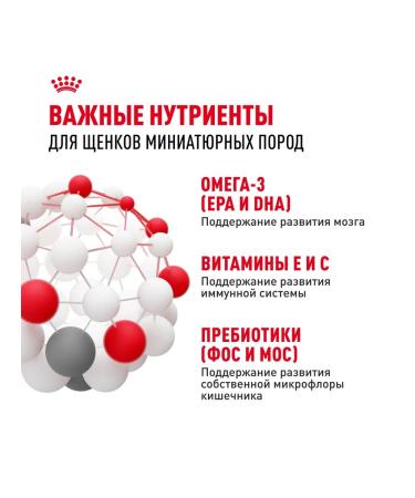 ROYAL CANIN Dry food for miniature breed puppies 500 g 2 pcs - Buy Online on GoSupps.com