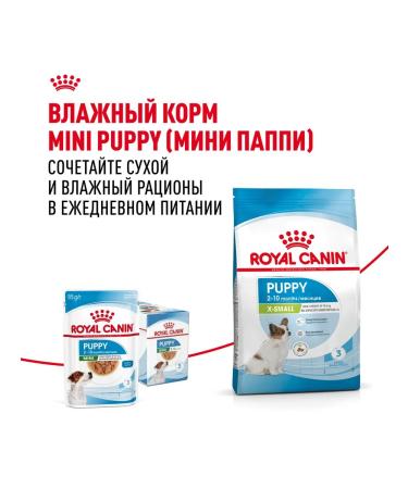 ROYAL CANIN Dry food for miniature breed puppies 500 g 2 pcs - Buy Online on GoSupps.com
