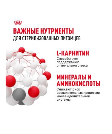 ROYAL CANIN Dry food for sterilized cats 4 kg. x 2 pcs - Buy Online on GoSupps.com