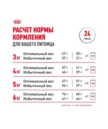 ROYAL CANIN Dry food for sterilized cats 4 kg. x 2 pcs - Buy Online on GoSupps.com