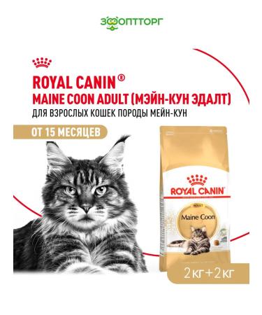 ROYAL CANIN Dry food for cats by main-kun bird 2 kg. x 2 pcs