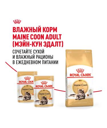 ROYAL CANIN Dry food for cats by main-kun bird 2 kg. x 2 pcs - Buy Online on GoSupps.com