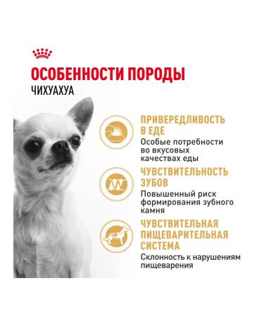 ROYAL CANIN Dry food for dogs of the chihuahua bird 500 g 2 pcs - Buy Online on GoSupps.com