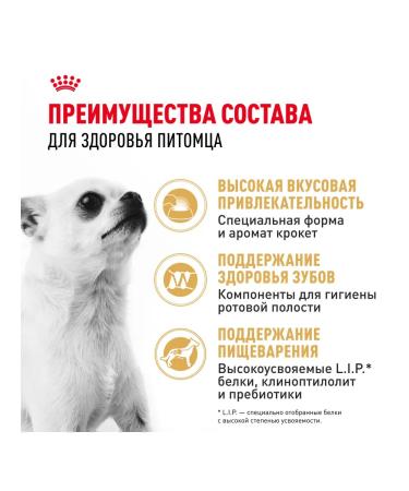 ROYAL CANIN Dry food for dogs of the chihuahua bird 500 g 2 pcs - Buy Online on GoSupps.com