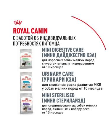 ROYAL CANIN Dry food for dogs of the chihuahua bird 500 g 2 pcs - Buy Online on GoSupps.com