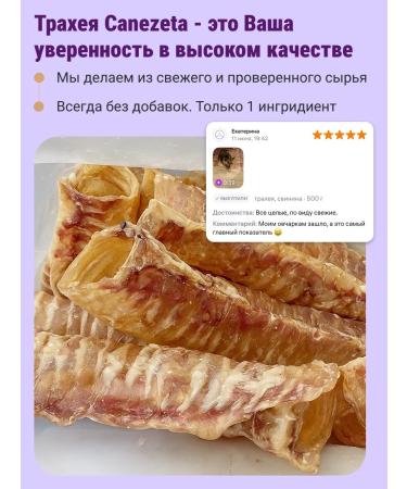 Canezeta T -shirt of beef for dogs 1 kg - Buy Online on GoSupps.com