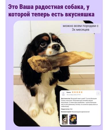 Canezeta Beef ears for dogs 750 g - Buy Online on GoSupps.com