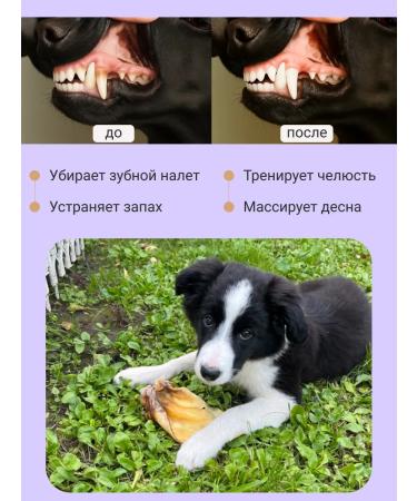 Canezeta Beef ears for dogs 750 g - Buy Online on GoSupps.com