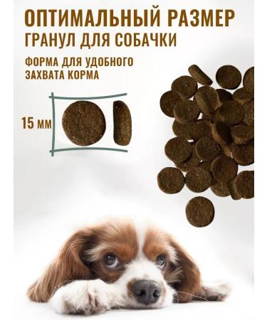 Country delicacies Dog foods dry turkey with rice 12 kg - Buy Online on GoSupps.com