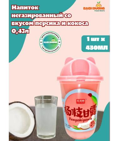LEBIN Drink Zhenchun Taste Coconut 430ml x 1pc