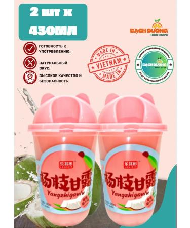 LEBIN Drink Zhenchun Taste Coconut 430ml x 2pcs - Buy Online on GoSupps.com