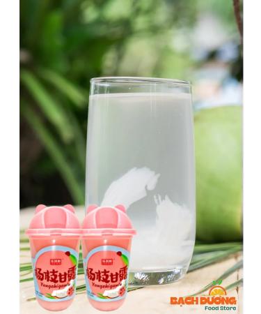 LEBIN Drink Zhenchun Taste Coconut 430ml x 4pcs - Buy Online on GoSupps.com