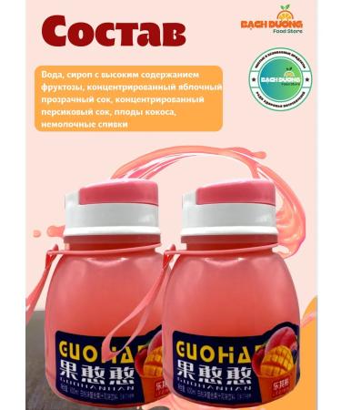 LEBIN Drink Zhenchun Persian taste 600ml x 2pcs - Buy Online on GoSupps.com