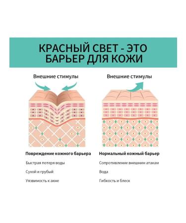 eelhoe Moisturizing face cream brightens the skin barrier - Buy Online on GoSupps.com