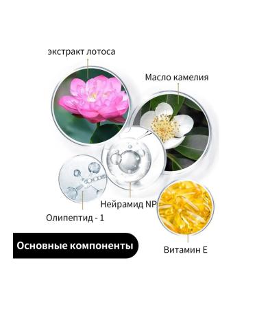 eelhoe Moisturizing face cream brightens the skin barrier - Buy Online on GoSupps.com