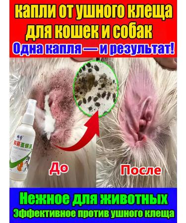 Drops from the ear tick for cats and dogs 100ml