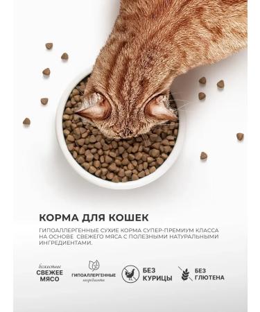 PREMIER Dry food for adult cats of large breeds lambs turkey - Buy Online on GoSupps.com