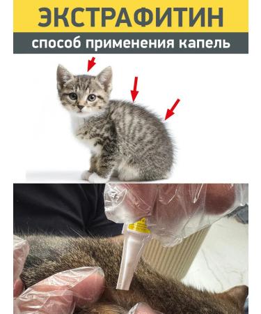 TOPVET Drops from fleas for cats (kittens) "Extrafitin" 2x0.5 ml - Buy Online on GoSupps.com