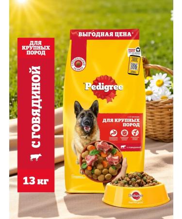 PEDIGREE Feed for adult dogs of large breeds beef 13kg
