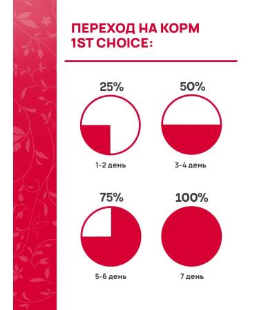 1st Choice Wet food for kittens chicken in tuna oil 85 g 12 pcs - Buy Online on GoSupps.com