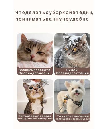 Dry shampoo from tangles in cats without washing 200 ml - Buy Online on GoSupps.com