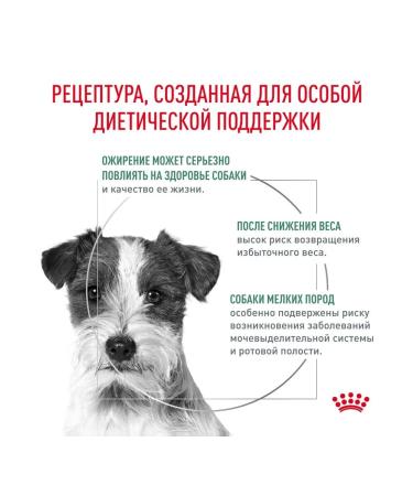 Royal Canin RC SATITY SMALL DOG food for dogs of small species 3kg - Buy Online on GoSupps.com