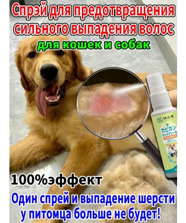 Air conditioning for dogs from wool loss
