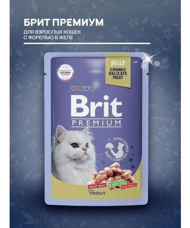 Brit Wet feed Premium for cats trout in jelly 85 g 4 pcs - Buy Online on GoSupps.com