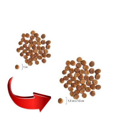 Brit Dry feed Premium for medium dogs chicken 1 kg 2 pcs - Buy Online on GoSupps.com