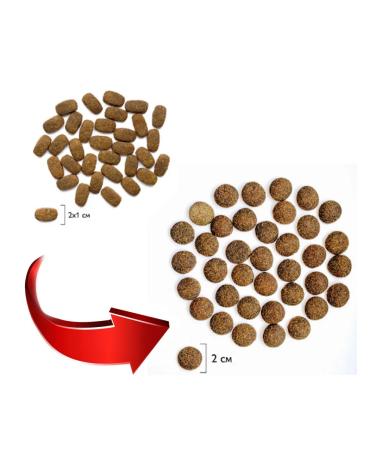 Brit Feed for large dogs dry Premium chicken 8 kg - Buy Online on GoSupps.com