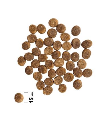 Brit Dry premium food for sensitive dogs 3 kg salmon - Buy Online on GoSupps.com