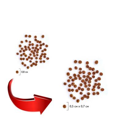 Brit Dry feed Premium for small dogs of dogs chicken 1 kg - Buy Online on GoSupps.com