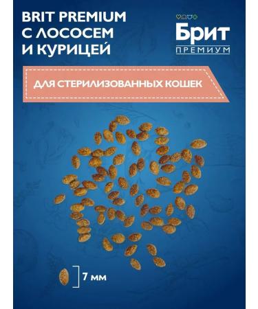 Brit Dry Premium feed of sterilized cats salmon 0.4 kg 2 pcs - Buy Online on GoSupps.com