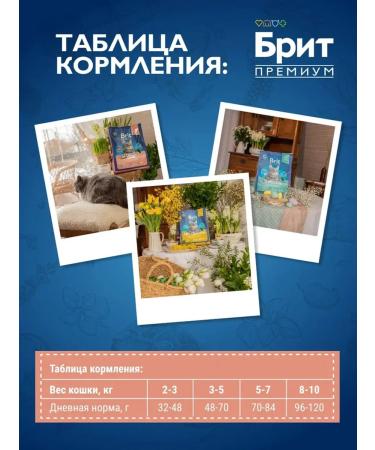 Brit Dry Premium food for sterilized cats salmon 0.4 kg - Buy Online on GoSupps.com