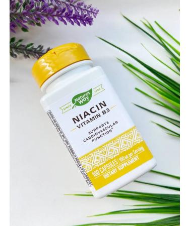 Nature's Way Niacin Niacin Vitamin B3 100 capsules
