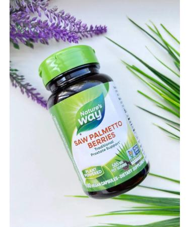 Nature's Way With palmetto Saw Palmetto Berries 100 capsules