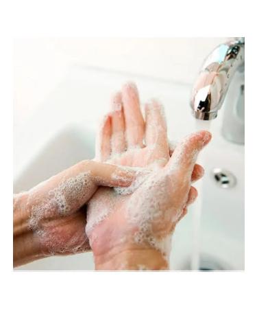 PALMOLIVE Toilet soap with almond oils and camellia 90g (x8) - Buy Online on GoSupps.com
