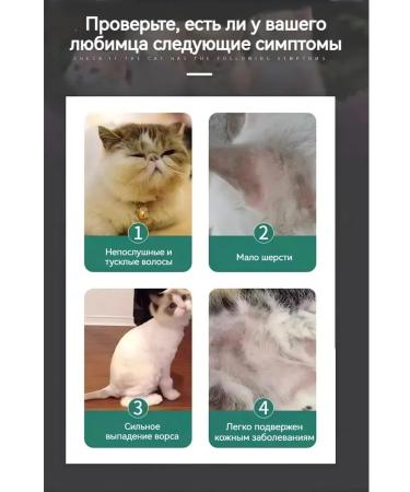 Air conditioning against dog wool drops 300ml - Buy Online on GoSupps.com