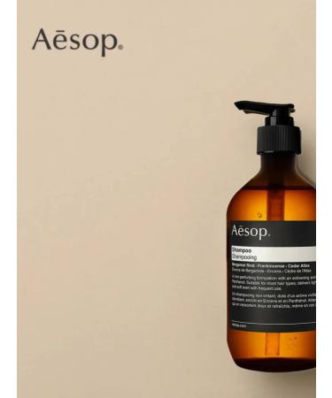 Aesop Shampoo invisible hair shampoo - Buy Online on GoSupps.com