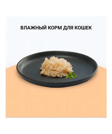 Inaba Cat food chicken fillet with sea scallop 60 g 24 pcs - Buy Online on GoSupps.com