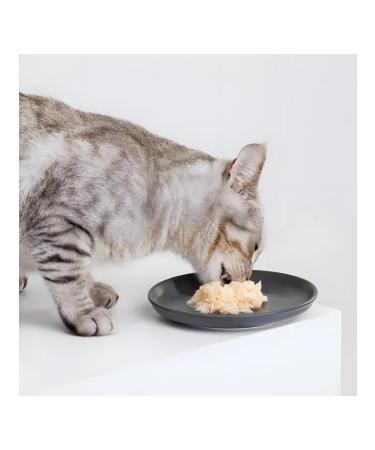 Inaba Cat food chicken fillet with sea scallop 60 g 24 pcs - Buy Online on GoSupps.com