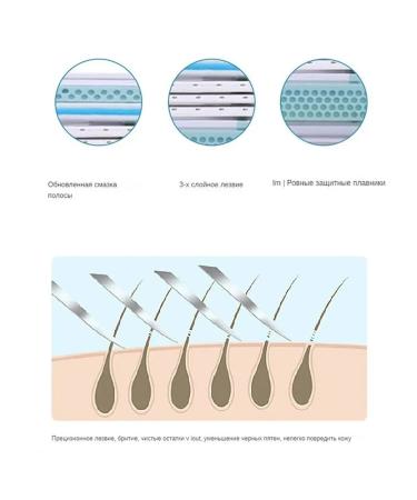 Shaving cassettes shift classic set 8 pcs - Buy Online on GoSupps.com