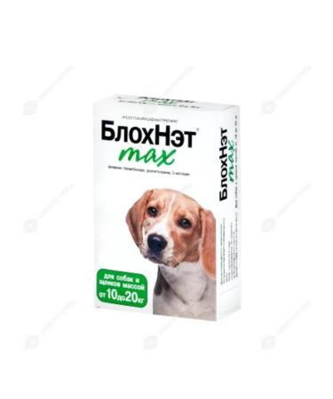 Astrapharm Blochnet Max Drops for dogs and puppies 10 - 20 kg 2 ml