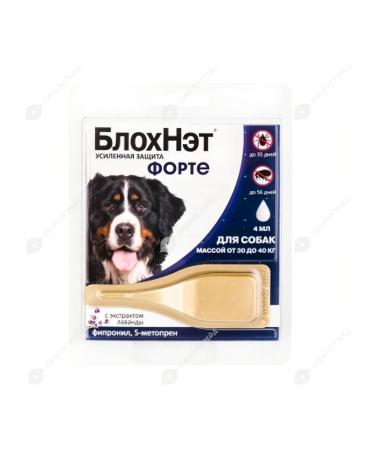 Astrapharm Blochnet forte for dogs weighing from 30 to 40 kg 4 ml