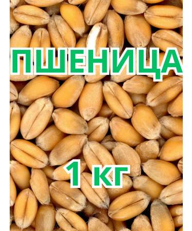 Cereal wheat is not processed