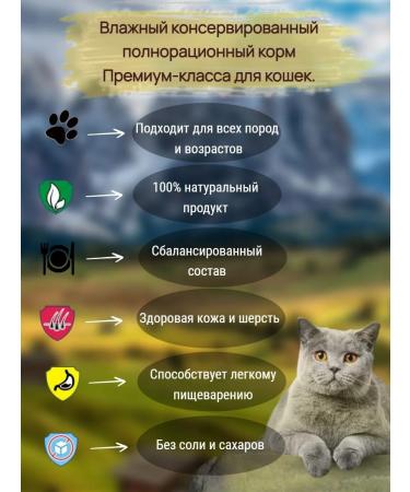 KING KORM Wet feed King food for cats with turkey 200g x 3pcs - Buy Online on GoSupps.com