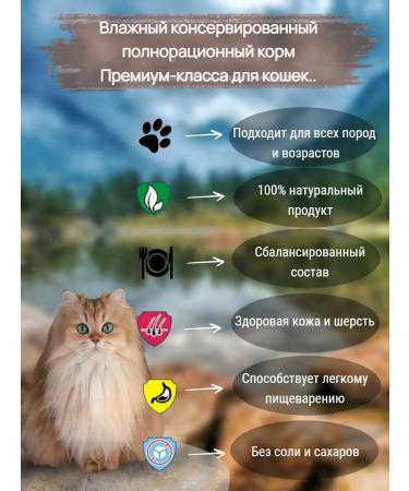 KING KORM Wet food for cats with beef hypoallergenic 200g x3t - Buy Online on GoSupps.com