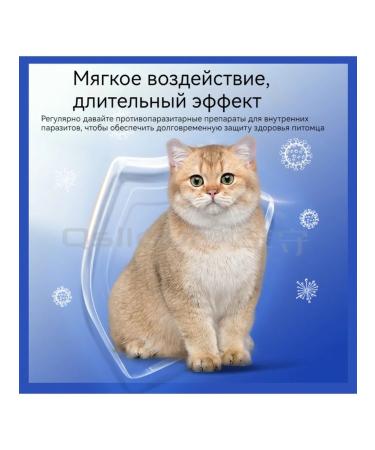 Flea and dogs worms pills - Buy Online on GoSupps.com