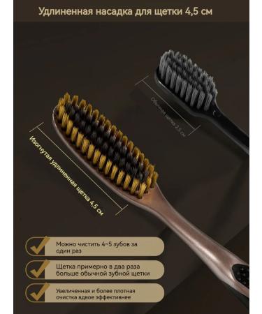 SPLAT Steam set of dentitions 6pcs - Buy Online on GoSupps.com